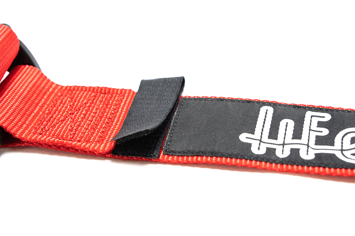 Lifeline Racing Harness 6 Point 2" Cam- Lock